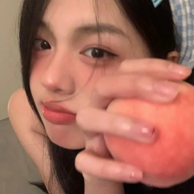 真假东宫粤语
