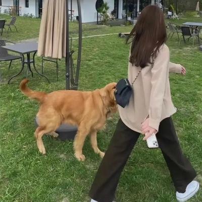 战旗如画